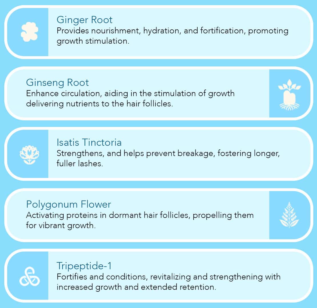 Image: Ingredients: Ginseng Root, Ginger Root, Isatis Tinctoria, Polygonum Flower, Tripeptide-1